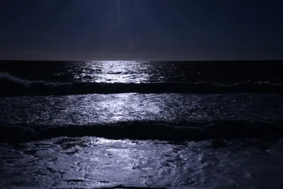 DSC_0464 (Large).JPG